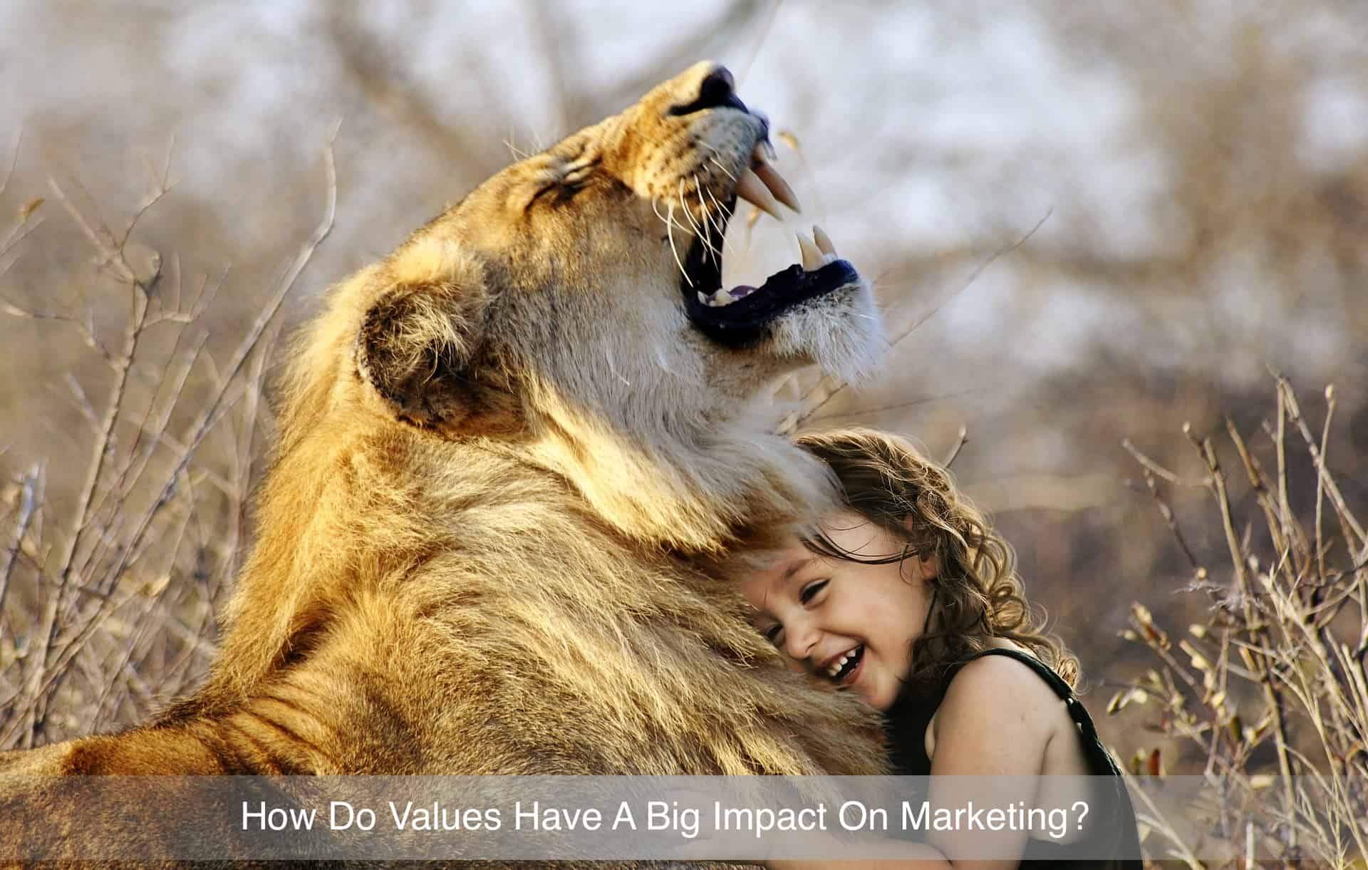 Values-Marketing-Lion