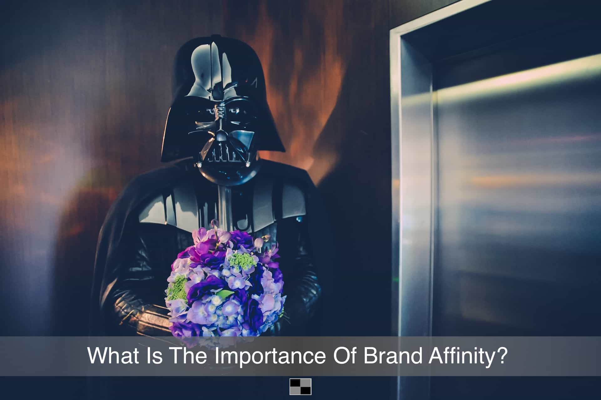 Brand_Affinity_Vader